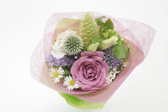 �p���[�X�g�[���A�x���`������