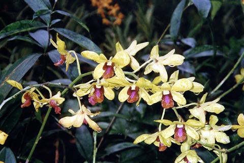 �p���[�X�g�[���Z�����A�C�g �A�N�Z�T���[