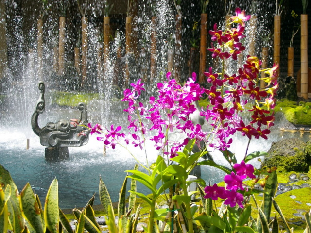 �p���[�X�g�[���N���m�N����