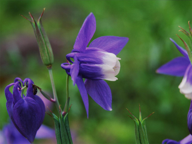 �p���[�X�g�[���h���o�C�g �A�N�Z�T���[