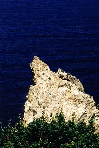 �p���[�X�g�[���R�[�f�B�G���C�g