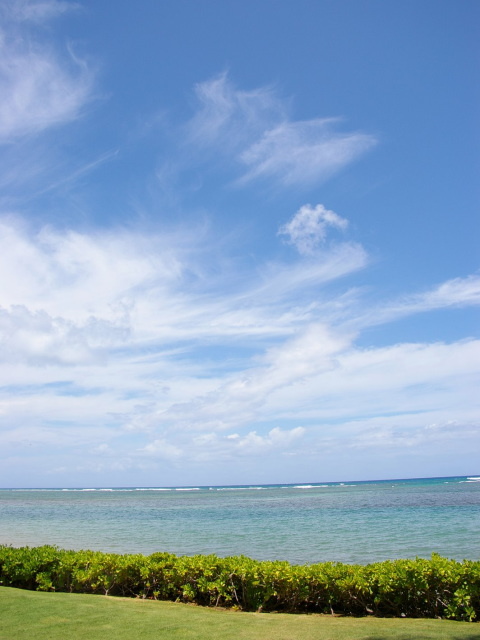 �p���[�X�g�[���T���X�g�[��