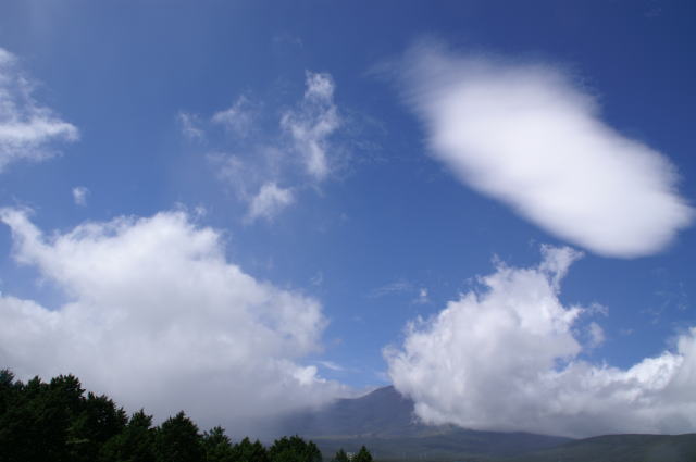 �p���[�X�g�[���g�ʐ�