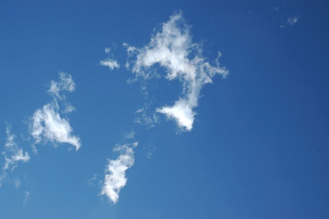 �p���[�X�g�[�����[�f�B�T�C�g