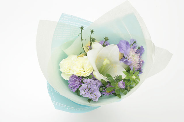 �p���[�X�g�[���A�j�����C�g