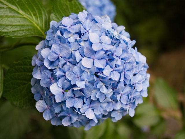 �p���[�X�g�[���I�p�[��