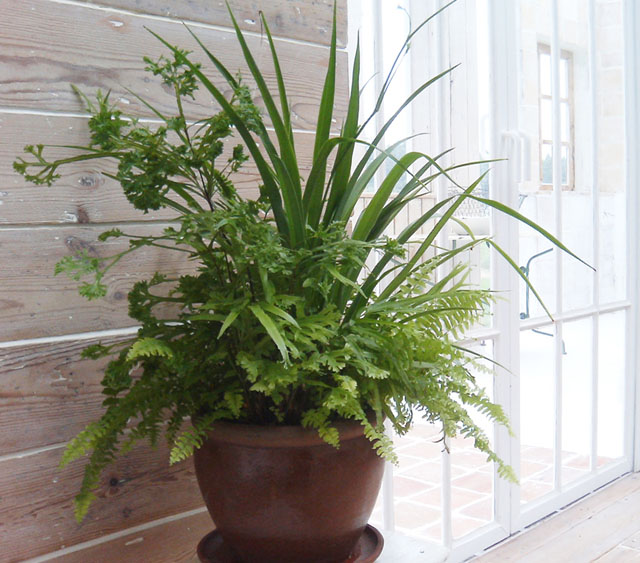 �p���[�X�g�[���]�C�T�C�g �A�N�Z�T���[