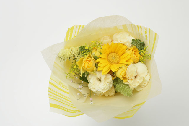 �p���[�X�g�[���A���W�X�g