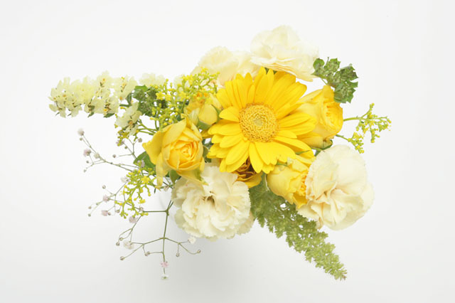 �p���[�X�g�[���A�}�]�i�C�g