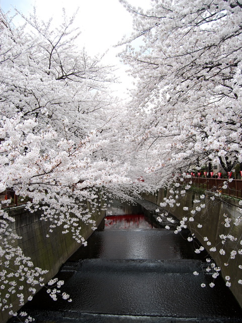 �p���[�X�g�[���N���\�v���[�Y