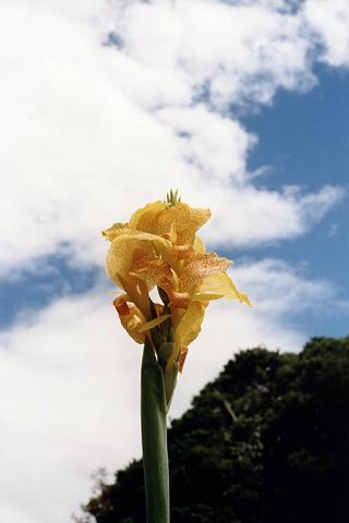 �p���[�X�g�[���`�����A�C�g �A�N�Z�T���[|�p���[�X�g�[�������̓R�`��