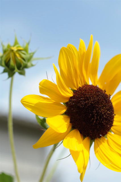 �p���[�X�g�[���O���b�V�����[���C�g