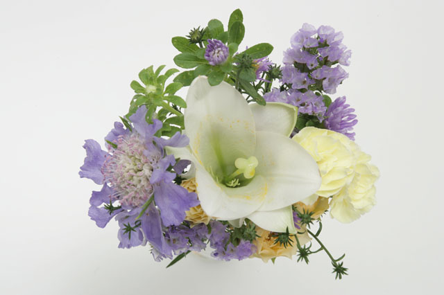 �p���[�X�g�[���A�i���V��