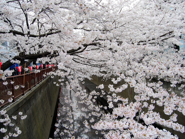 �p���[�X�g�[���N���\�x����