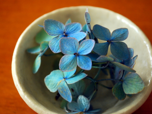 �p���[�X�g�[���I���S�N���[�X