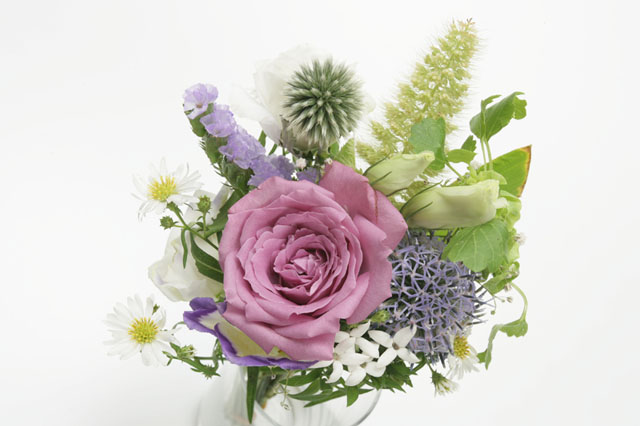 �p���[�X�g�[���A�p�^�C�g